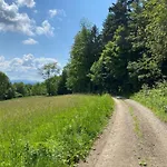 Chalet Beskidzki Reset Budzow (Sucha)