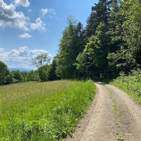 シャレー Beskidzki Reset Budzów