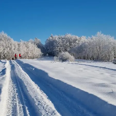 シャレー Beskidzki Reset