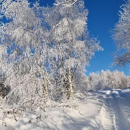 Beskidzki Reset Budzow (Sucha)