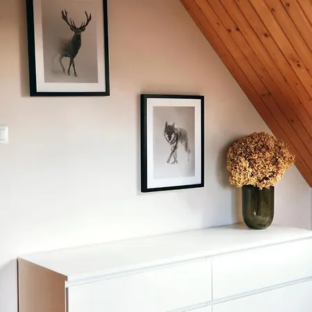 シャレー Beskidzki Reset *