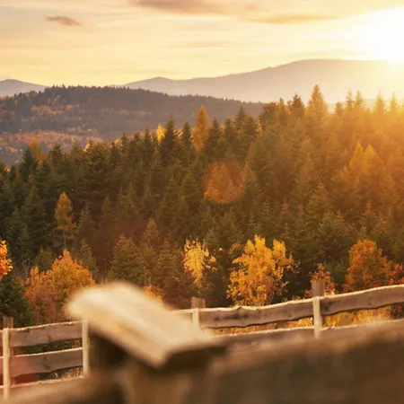 Beskidzki Reset * Budzów