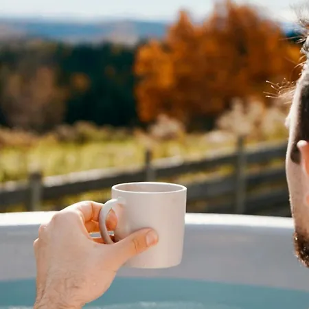 Beskidzki Reset シャレー Budzów