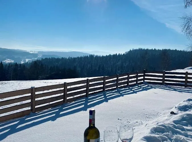 Beskidzki Reset * Budzow (Sucha)