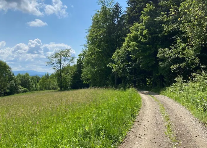 Horská chata Beskidzki Reset Budzow (Sucha)