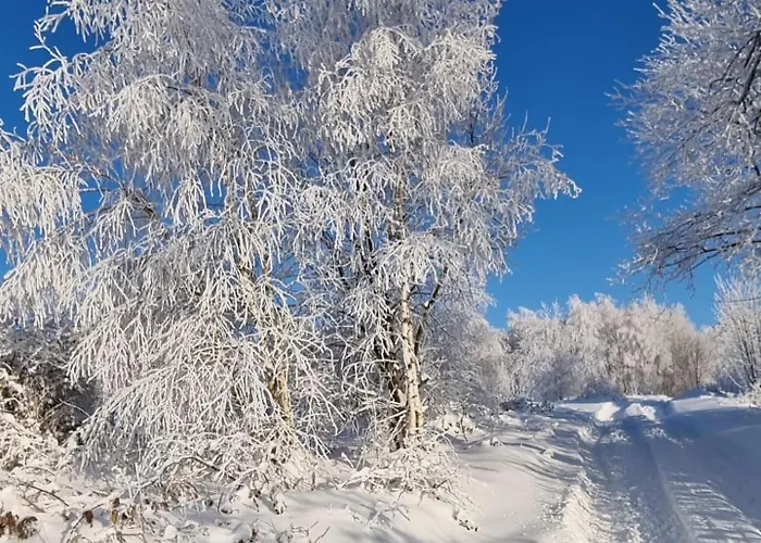 Beskidzki Reset Budzow (Sucha)