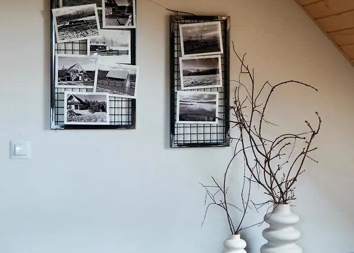 Beskidzki Reset * Budzow (Sucha)