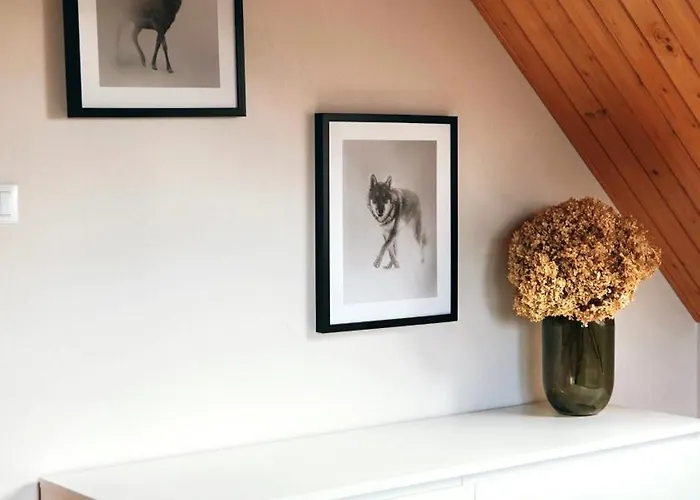 Horská chata Beskidzki Reset *