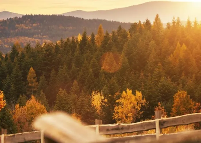 Beskidzki Reset * Budzow (Sucha)